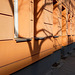 20250410 174944©IngoKrehl