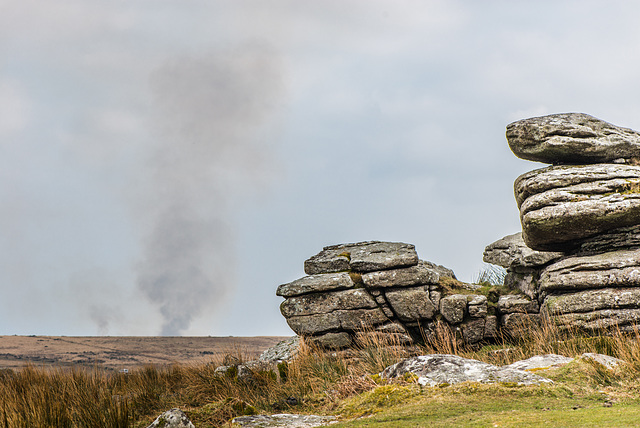 Dartmoor - 20160322