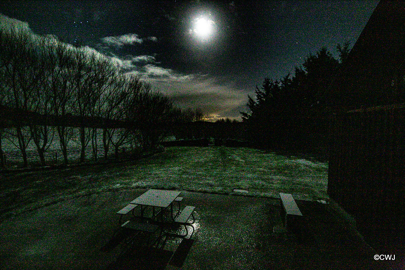 Snow in the moonlight