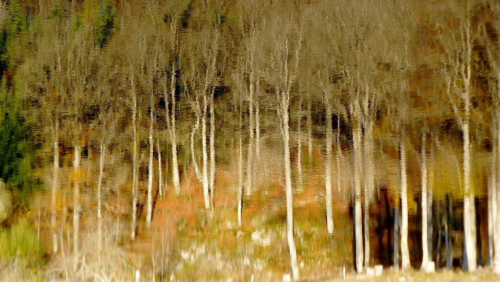 P2020071
