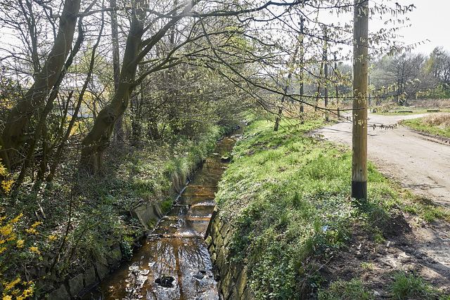 bachlauf-06387-co-07-04-19