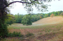 Paysage Périgourdin aprés la sècheresse