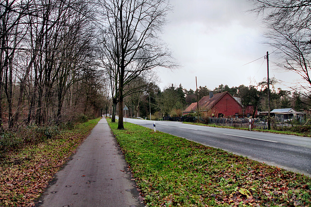 Recklinghäuser Straße (Haard, Haltern am See) / 26.12.2023