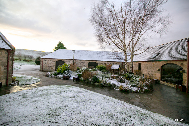 Morning snowfall
