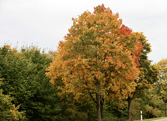 Herbstfarben