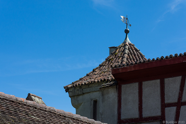 Schloss Hegi - Winterthur (© Buelipix)