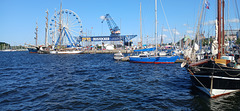 Hanse Sail 2025