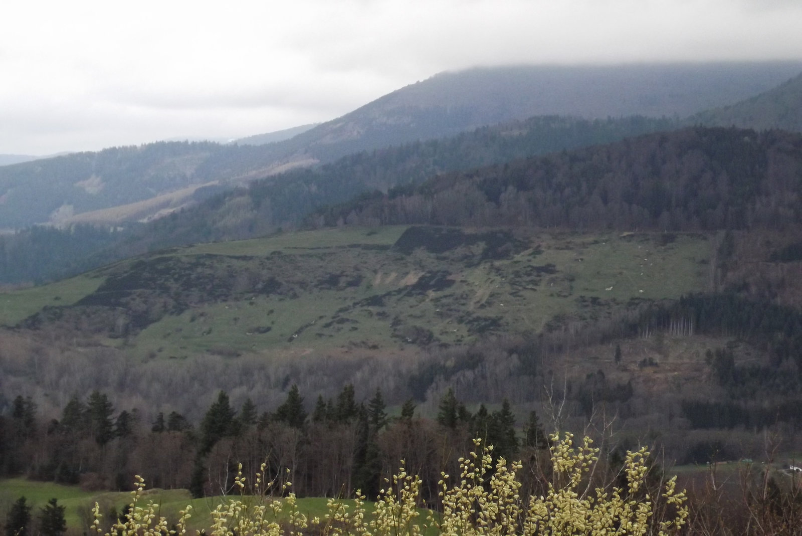 alsace 201504 (33)