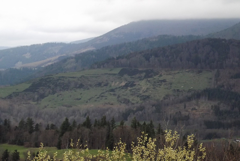 alsace 201504 (33)