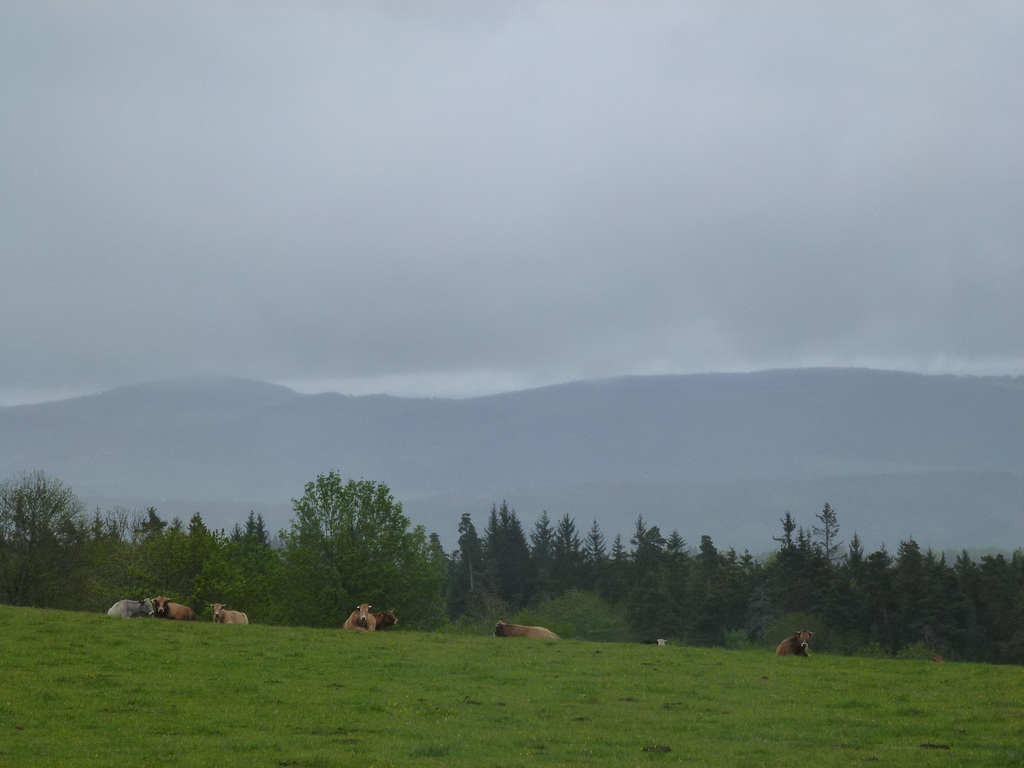 20150514 -17 Chastagnier Lozere VTT-Rando (62) al