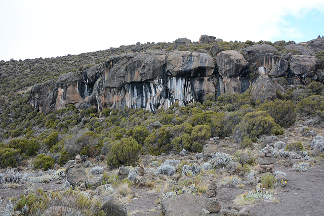 Kilimanjaro, The Rocks of Zebra