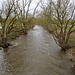 Nach Sturm und Regen II