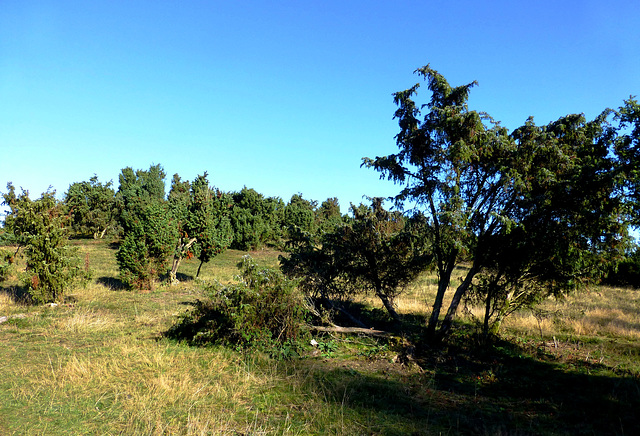 DE - Arft - Auf dem Bergheidenweg