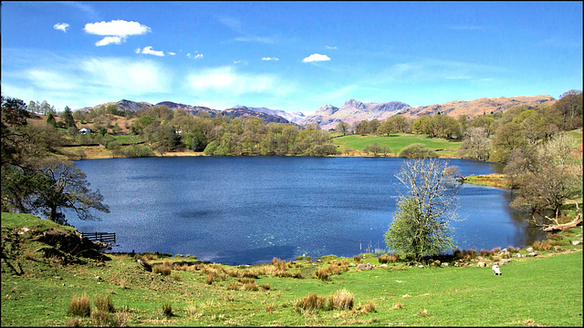 HFF................The Langdale Pikes