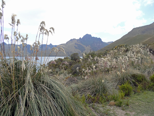 Laguna de Mojanda 3700 m._Ecuador