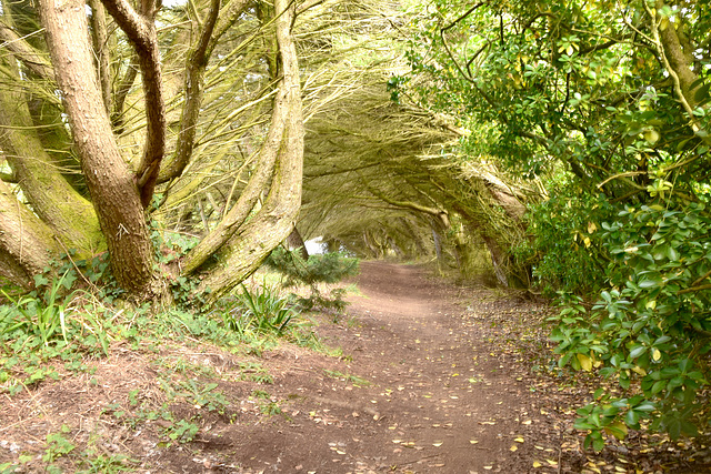 chemin côtier a telgruc