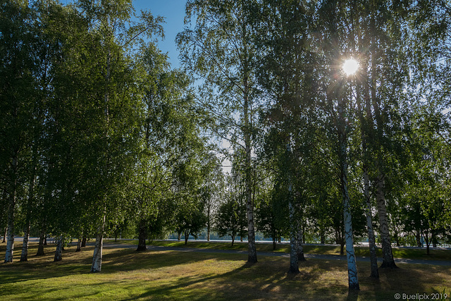 Samstag Morgen in Rovaniemi (© Buelipix)