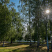 Samstag Morgen in Rovaniemi (© Buelipix)