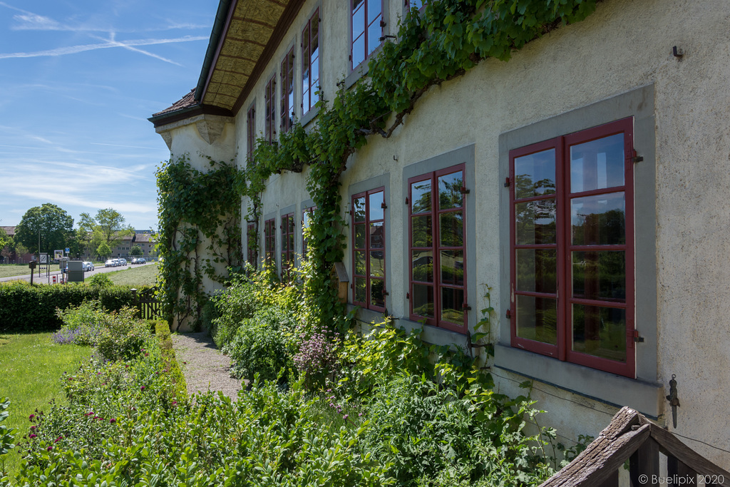 Schloss Hegi - Winterthur (© Buelipix)