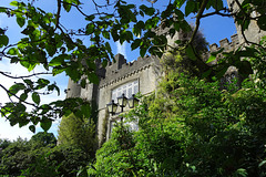 Malahide Castle Through The Trees