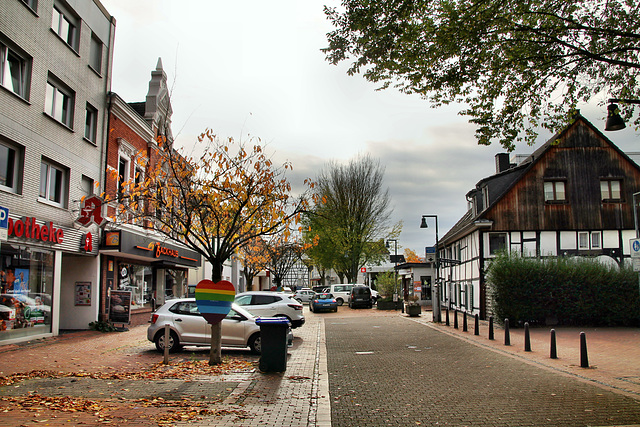 Meesmannstraße (Witten-Herbede) / 6.11.2021