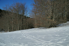 Drôme Hiver dernier