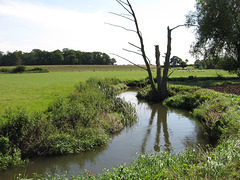 River Mease about a third of the way from Netherseal to Clifton Campville