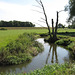 River Mease about a third of the way from Netherseal to Clifton Campville