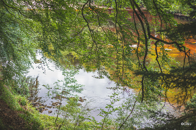 The Findhorn