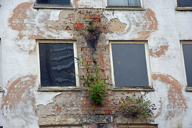 Die Mauer