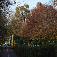 Fuß-und Radweg