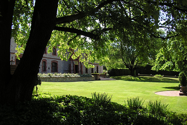 Yalumba Winery Gardens