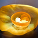 Dale Chihuly Retrospective at Kew Gardens