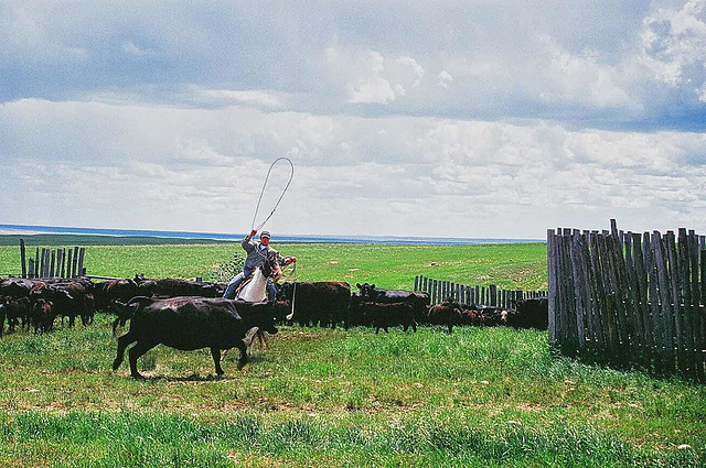 roping won't be easy