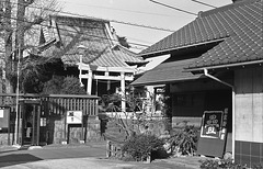 Shrine and a tatami mat store