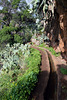 Letzter Eindruck der Levada dos Tornos