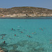 Malta, Blue Lagoon and Cominotto