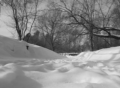 cold B&W friday