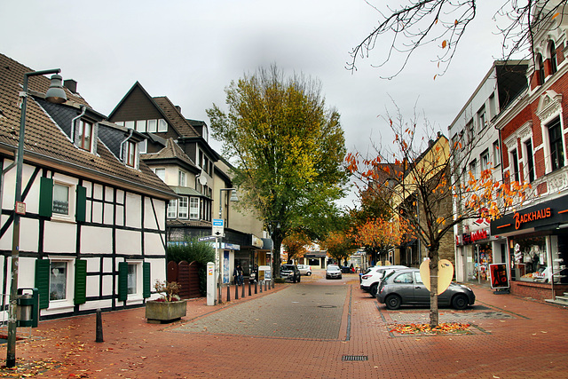 Meesmannstraße (Witten-Herbede) / 6.11.2021