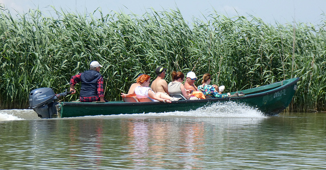 Exploring the Reedbeds