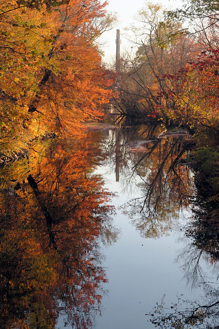 IMG 3893-001-Mill River Autumn