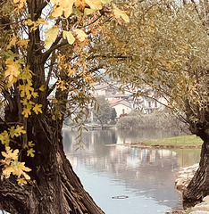 autumn frame