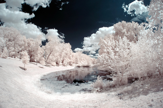 Pond behind Baker Center, Ohio University