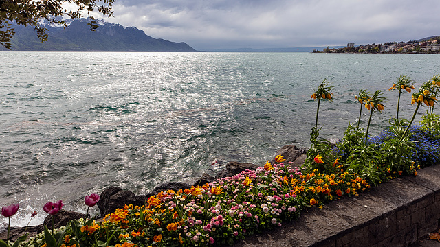 190425 Montreux vaudaire 0