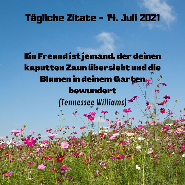 Tägliche Zitate - 14. Juli 2021