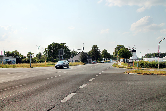 Xantener Straße (Rheinberg-Ossenberg) / 8.06.2023