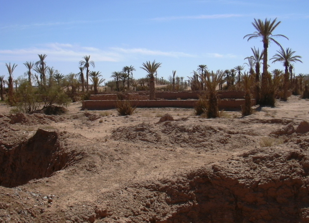 Oasis