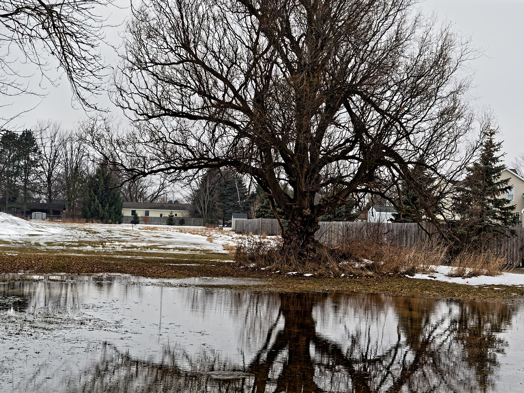 February Thaw