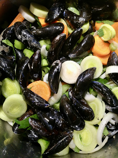 Mussels