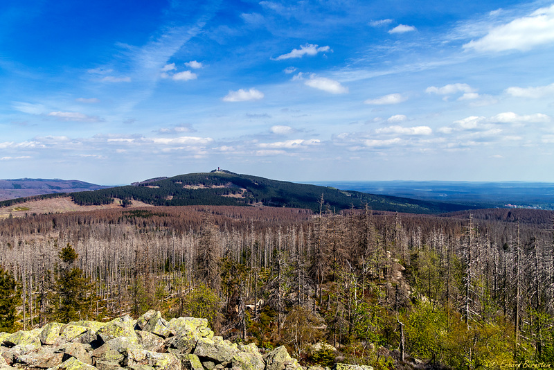 In der Ferne: der Wurmberg (PiP)